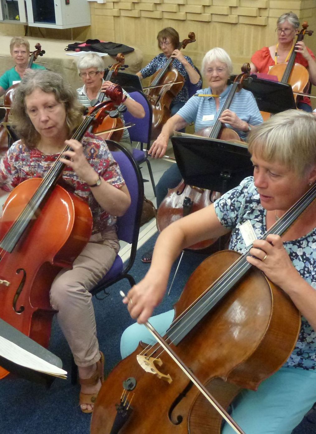 cello section of chamber orchestra